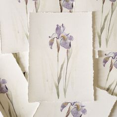 some purple flowers are painted on white paper