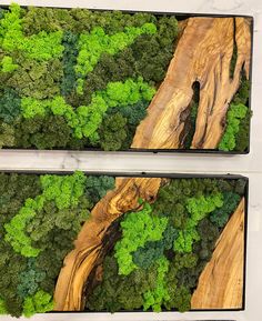 two cell phones with trees in them on the same phone screen, one is green and the other is brown