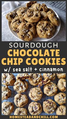 A close up of a plate full of sourdough chocolate chip cookies, with visible flakes of sea salt on top. Sourdough Discard Chocolate Chip Cookies, Discard Chocolate Chip Cookies, Sourdough Chocolate Chip Cookies, Sourdough Cookies, Ice Cream Cookie Sandwich, Cookie Spread, Sourdough Discard, Sourdough Baking, Chewy Chocolate Chip Cookies