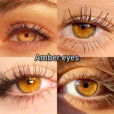 Golden Eye Color, Yellow Hazel Eyes, Amber Eyes Drawing, Hazel Amber Eyes, Hazel Yellow Eyes, Honey Colored Eyes, Golden Amber Eyes Aesthetic, Eye Colors Aesthetic, Gold Brown Eyes