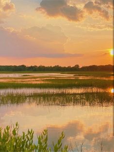 the sun is setting over some water and grass