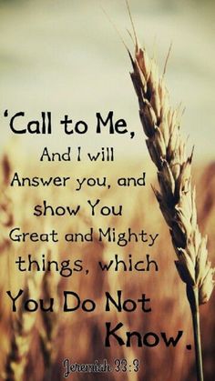 a wheat field with the words call to me and i will answer you and show you great and mighty things, which you do not know