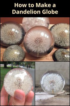 how to make a dandelion globe