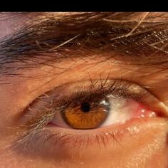 Hazel Brown Eyes, Honey Eyes, Brown Eyes Aesthetic, Brown Eye Boys, Pretty Brown Eyes, Travel Entertainment, Amber Eyes, Brown Hair Brown Eyes, Health Tech