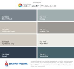 the color scheme for colorsnap visualizer, which is available in several different shades