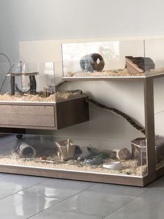 a display case filled with lots of different types of animals in it's habitat