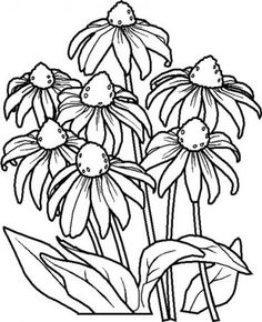 coloring page with flowers and leaves