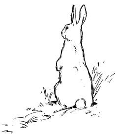 a black and white drawing of a rabbit sitting in the grass