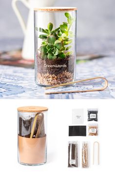 a glass jar filled with dirt and plants on top of a table next to other items