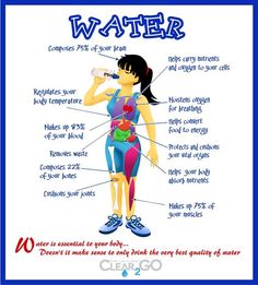 Why Drink Water, Importance Of Drinking Water, Drink More Water, Nutrition Education, Sciatica