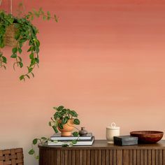 a plant is hanging over a table in front of a wall painted with pink and orange