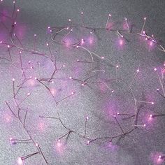 purple lights are strung from the branches of a tree in front of a gray background