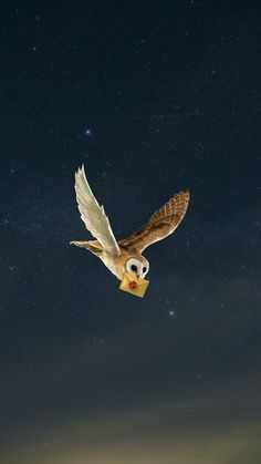 an owl is flying in the night sky