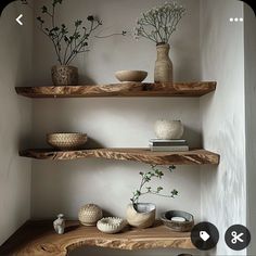 three wooden shelves with vases and plants on them