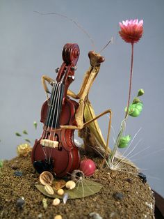 an insect is playing the violin on top of a rock with shells and other things around it