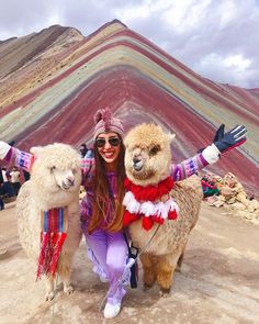 a woman poses with two llamas in front of a rainbow - colored mountain