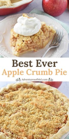 the best ever apple crumb pie recipe