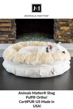 a dog is laying on top of a bed in front of a fireplace with the caption animals matter