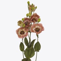 three pink flowers with green leaves are in a vase on a white background, and the petals appear to be wilted