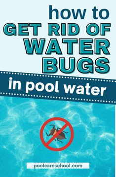 a sign that says how to get rid of water bugs in pool water with an image of