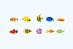 a group of different colored fish on a white background