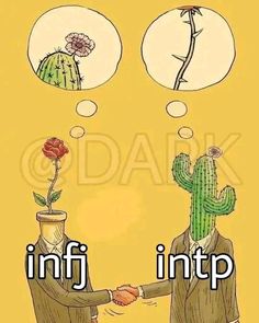 Intp X Infj, Superhero Wallpaper Iphone, Infj And Entp, Infj Psychology, Intp Personality Type, Jungian Psychology, Intp T, Infj Mbti, Intp Personality