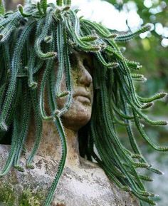 an image of a person with long hair and plants on their head, text reads how to make concrete head planters all the best ideas