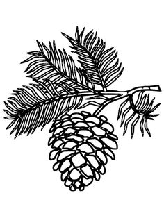 a black and white drawing of a pine cone on a tree branch with green leaves