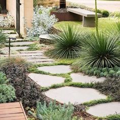 an outdoor garden with stone walkways and plants