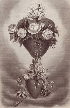 an antique drawing of flowers in a vase