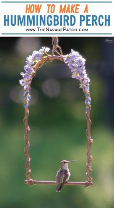 a hummingbird perches on a twig hanging from a bird feeder with the words diy hummingbird perch above it