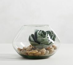 a glass bowl filled with rocks and a succulent in the center, sitting on a white surface