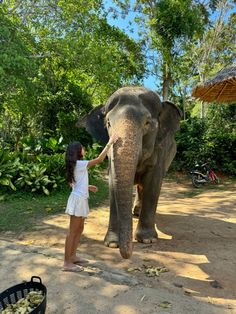 a woman standing next to an elephant on a dirt road