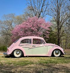 an old pink car parked in front of some trees with purple flowers on the trunk