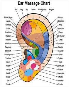 Ear Reflexology, Ear Massage, Hand Reflexology, Reflexology Chart, Diagram Chart, Reflexology Massage, Inner Ear, Foot Reflexology, Shiatsu Massage