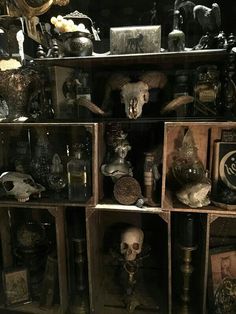 there are many different items on the shelves in this room, including skulls and candles