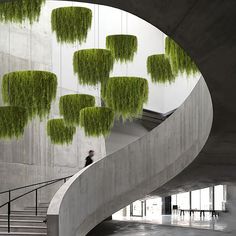 a staircase with green plants hanging from it