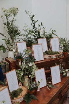 there are many plants and place cards on the table