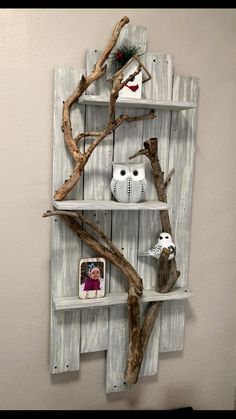 an owl is sitting on top of a tree branch shelf with two pictures hanging from it