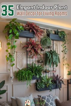 a living room with plants hanging on the wall and text overlay that reads 35 elegant indoor plant wall decor for living rooms