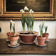 several pots with flowers in them sitting on a table next to a painting and framed artwork