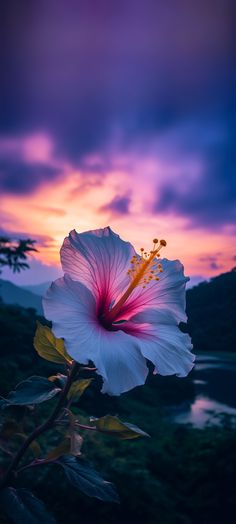 a large white flower sitting on top of a lush green field under a purple sky