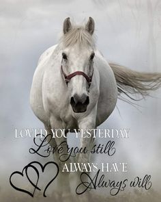 a white horse running through a field with the words love you western day