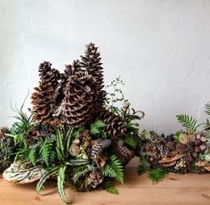 some plants and pine cones on a table