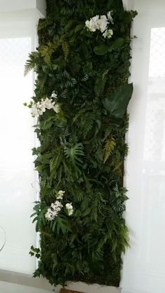 a living wall with white flowers and greenery