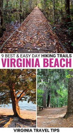 the best and easy hiking trails in virginia beach