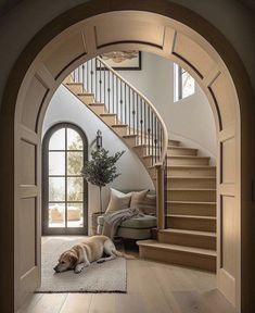 a dog laying on the floor in front of a stair case next to a couch