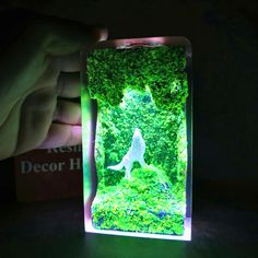 a person is holding up an illuminated box with a dog in the woods on it