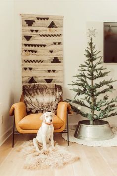 a white dog sitting in front of a christmas tree on a rug next to an orange chair