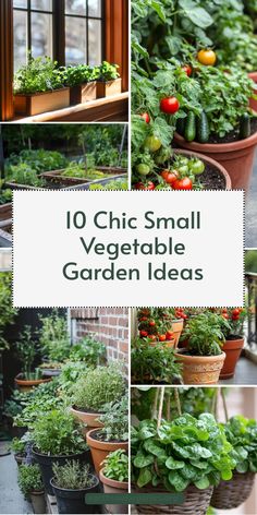 Who says small gardens can’t be stylish? Explore these chic and elegant small vegetable garden ideas that blend function and beauty. Perfect for any small yard or urban apartment balcony. Create a garden you’ll love to look at and harvest from! #SmallVegetableGardenIdeas #ChicGardening #StylishSpaces Hanging Vegetable Garden Ideas, Vertical Vegetable Garden Design, Small Vegetable Garden Ideas, Garden Ideas For Small Spaces, Urban Gardening Balcony, Veggie Garden Layout, Small Vegetable Garden, Patio Gardening, Vertical Vegetable Gardens